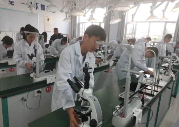 优化评价机制突出在教师教学评价中跨学科教学成果的权重 优化评价机制突出在教师教学评价中跨学科教学成果的权重